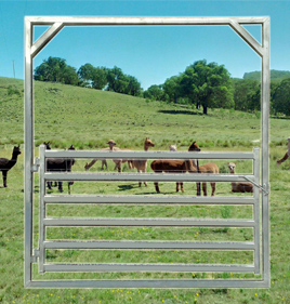 Goat/Alpaca Gate 2100 High Frame